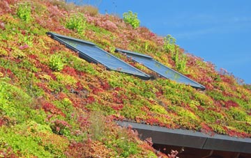 Halton Gill living roof systems