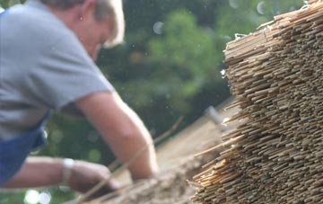 professional Halton Gill thatchers