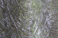 Halton Gill fibreglass roof work